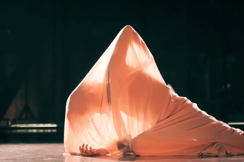 Le corps en devenir : la danse contemporaine française et l'ivresse de la transformation